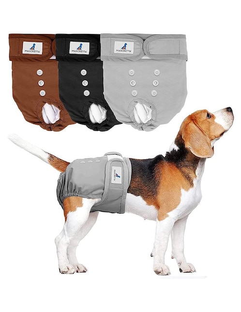 Pañal para perro Mascretta