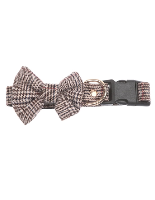 Collar decorativo para perro Zoopet