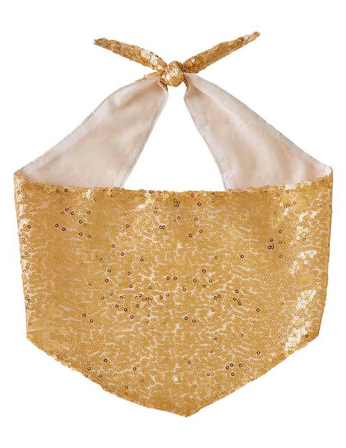 Pañuelo para perro
