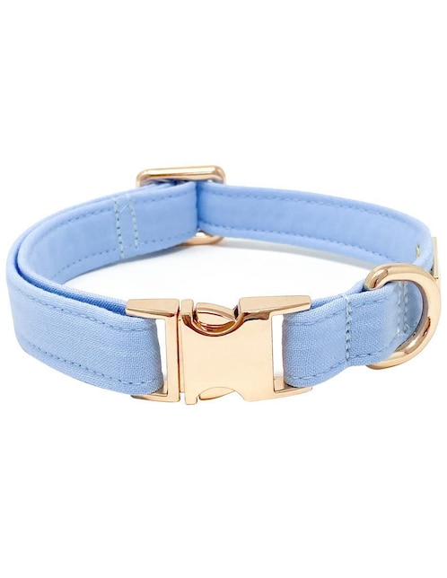 Collar para perro 1