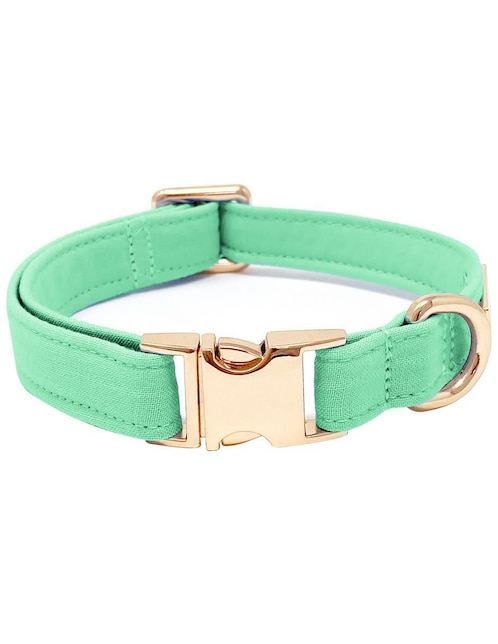 Collar para perro 1