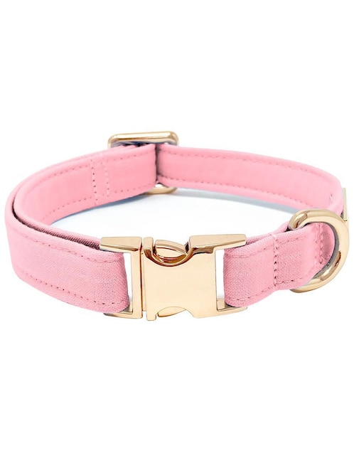 Collar Lorenzo The Dog para perro