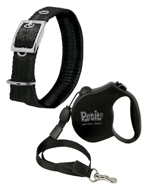 Correa y collar para perro 1