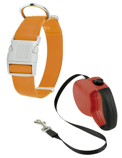 Correa y collar para perro 1