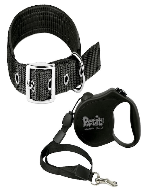 Correa y collar para perro 1