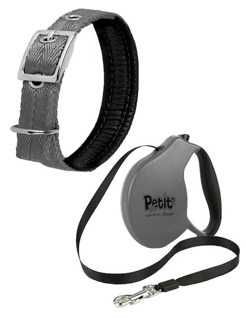 Correa y collar para perro 1