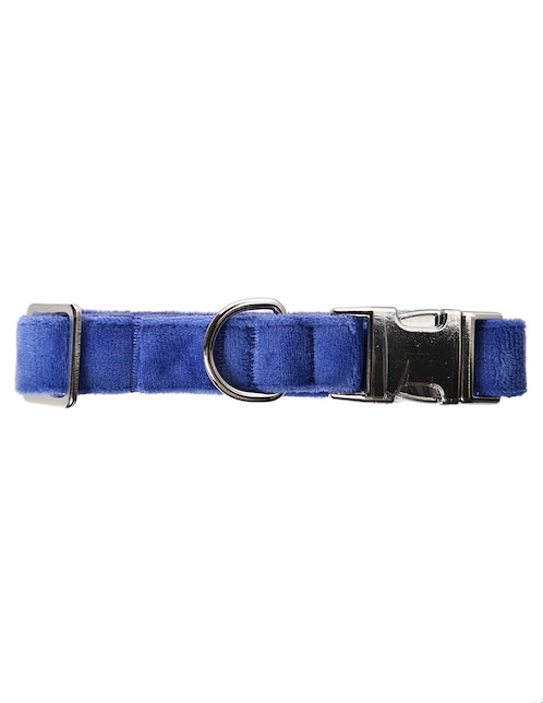 Collar Halloween Zoopet para perro