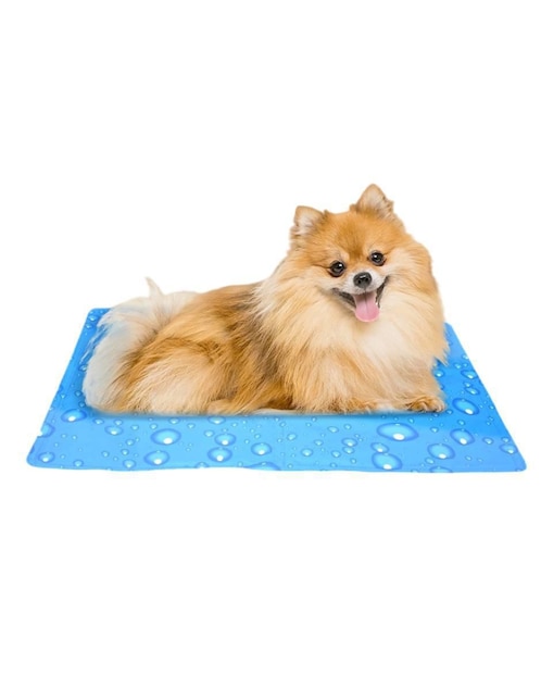 Cama para perro Cama para perro