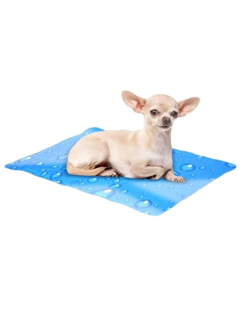 Cama para perro 1