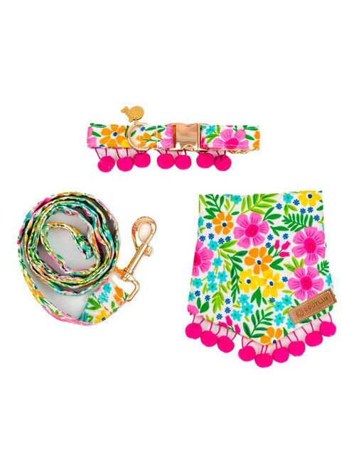 Kit de collar Dogtlan de algodón para perro
