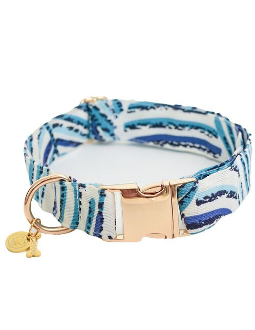 Collar Dogtlan para perro