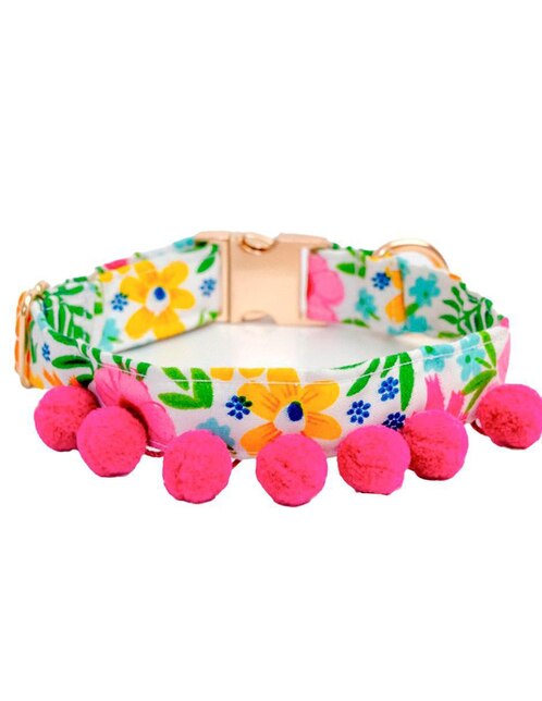 Collar Dogtlan para perro