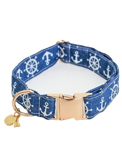 Collar Dogtlan para perro