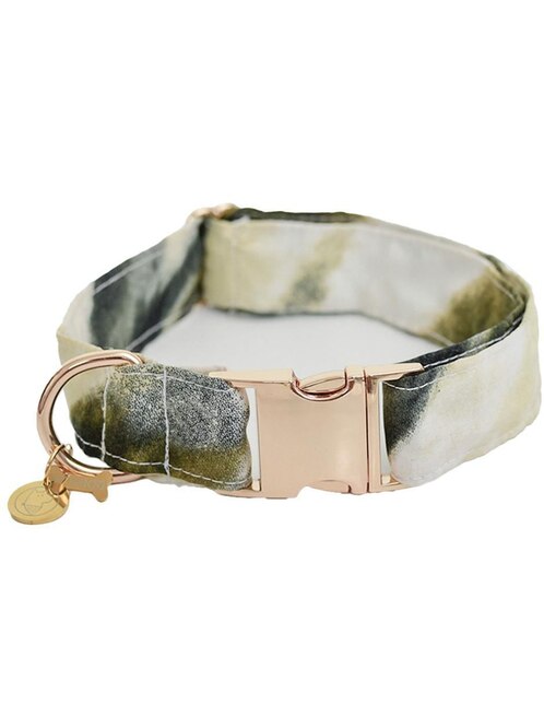 Collar Dogtlan para perro