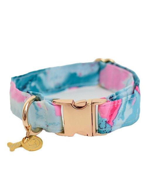 Collar Dogtlan para perro