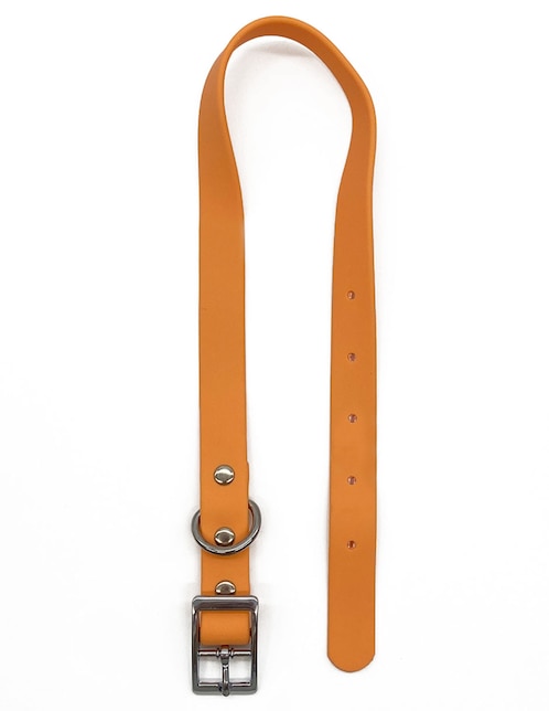 Collar Zoopet sintético para perro