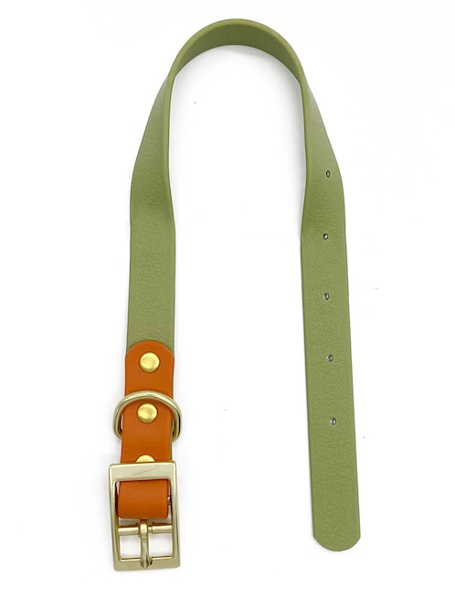 Collar sintético para perro 1