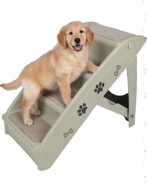Rampa para mascota poli pets "para" perro