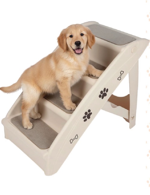 Rampa para mascota para perro 1