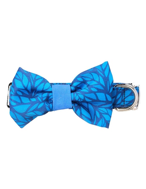 Collar para perro 1