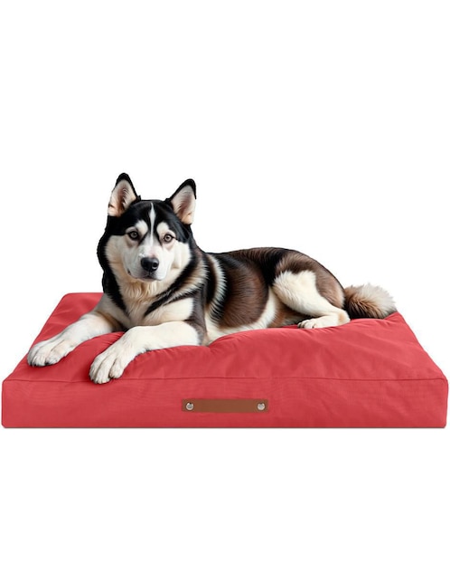 Cama "para" perro y gato esquimal