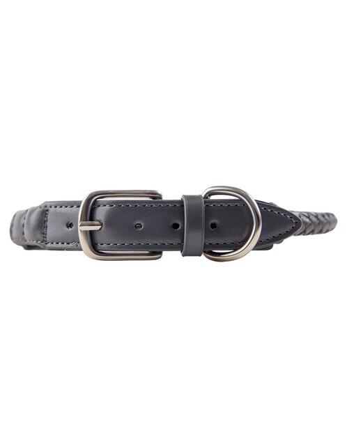Collar para perro 1