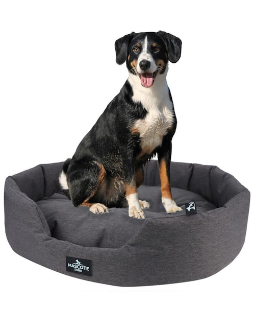 Cama para perro 1