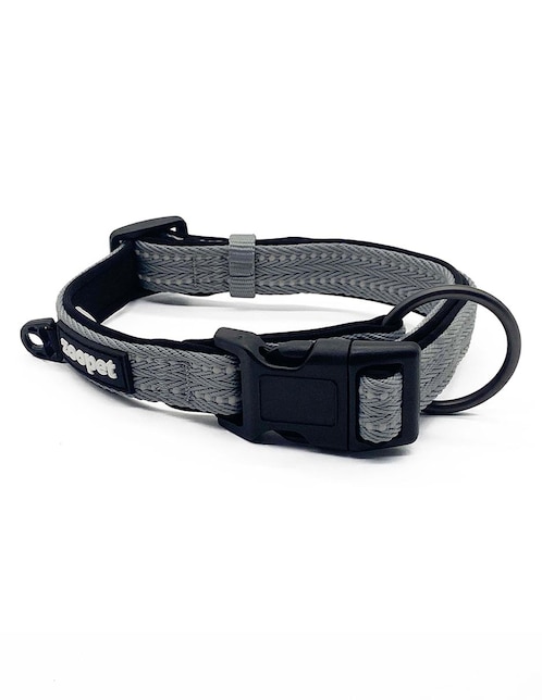 Correa y collar para perro 1