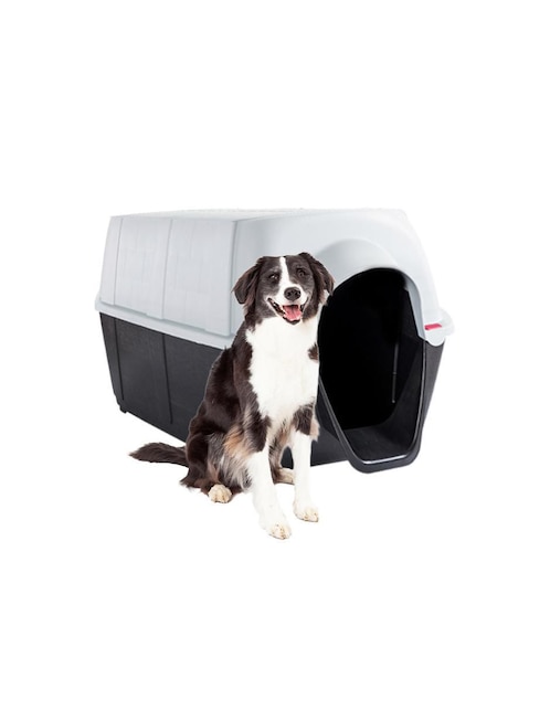 Casa para perro level home