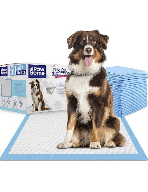 Tapete entrenador Magma Life para perro