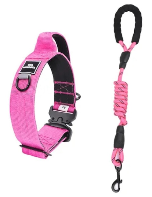 Correa y collar de nylon para perro