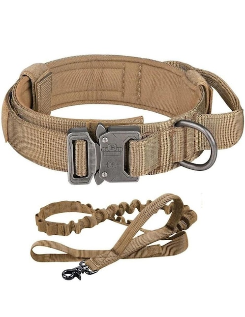 Correa y collar Lab.G de poliéster para perro
