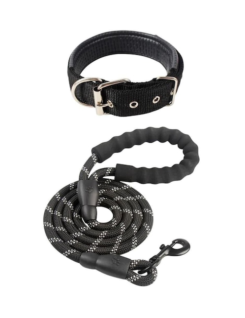 Correa y collar para perro