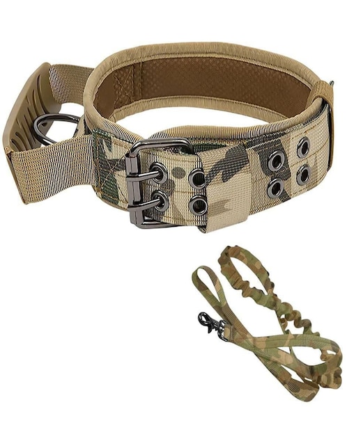 Correa y collar Lab.G para perro