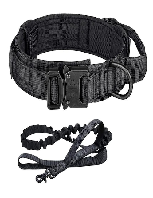 Correa y collar para perro