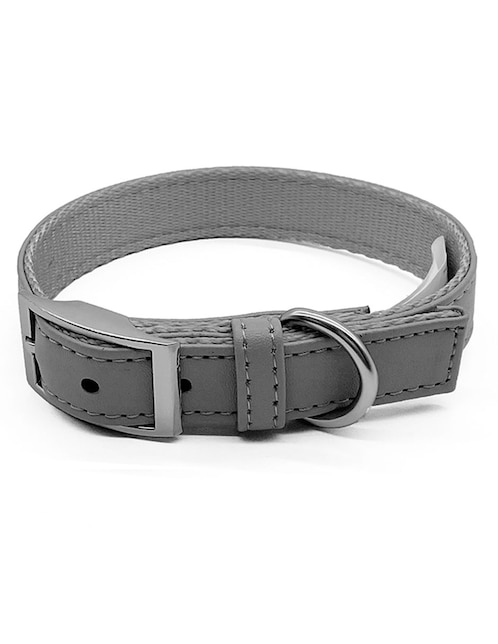 Collar para perro 1