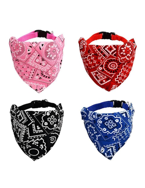 Set collar para perro 1