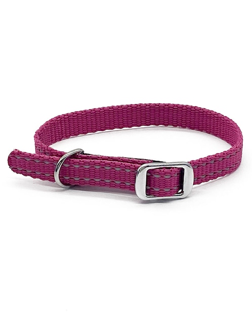 Collar para perro 1