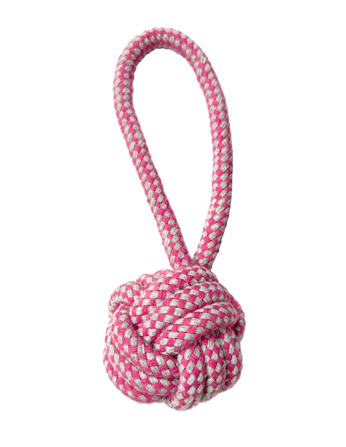 Juguete con cuerda para perro Petit
