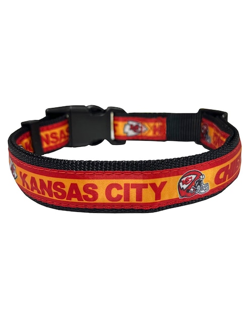 Collar para perro 1