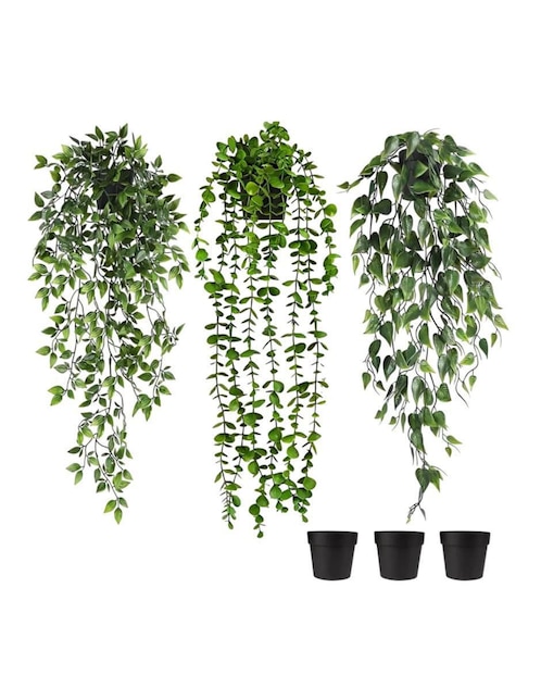 Planta colgante geranio natural Lab.G
