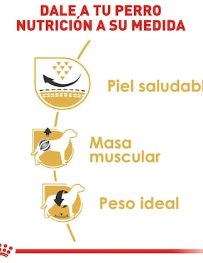 Croqueta Royal Canin de pollo para perro raza pequeña etapa adulto contenido individual 4.5 kg