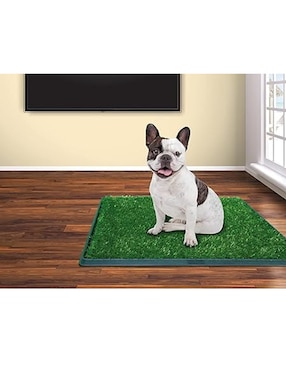 Pasto sintético Green Carpet para perro