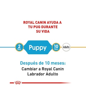 Croqueta Royal Canin de Pollo para perro etapa cachorro Raza pequeña contenido 1 kg