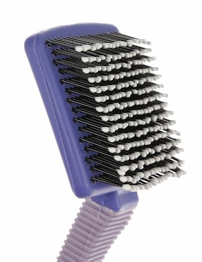Carda para Gato Hartz morado