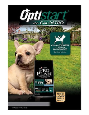 Croqueta Pro Plan de pollo para perro raza pequeña etapa cachorro contenido individual