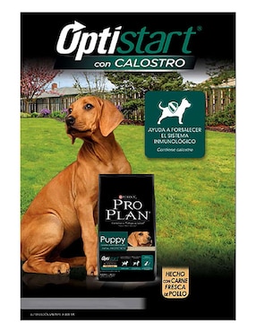 Croqueta Pro Plan de Pollo para perro etapa cachorro