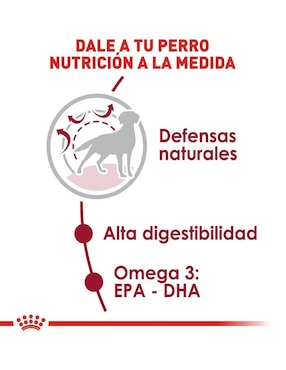 Croqueta Royal Canin de pollo para perro etapa adulto contenido individual