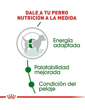 Croqueta Royal Canin de Pollo para perro etapa adulto Raza pequeña