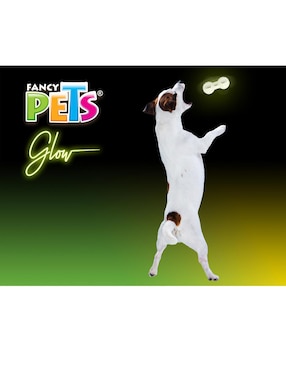 Juguete Fancy Pets